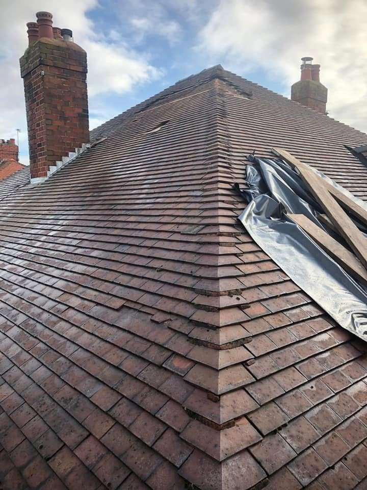 Recent project by RG Loft Conversions & Extensions